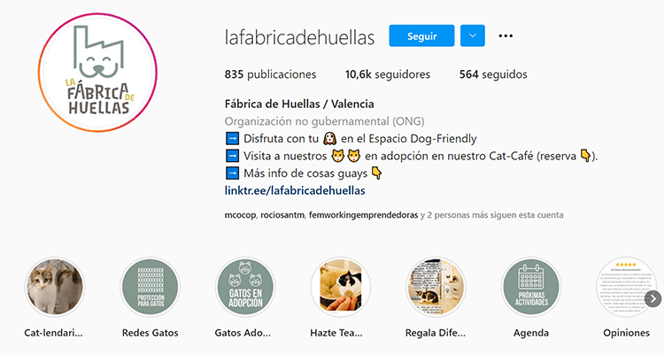 Biografía Instagram - Fábrica de huellas